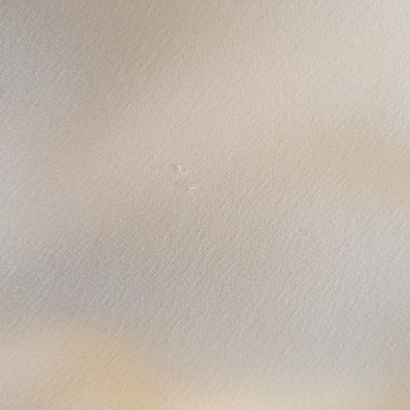 BHLDN Jenny Yoo Zola Wedding Dress, Size 6 - Picture 12 of 12